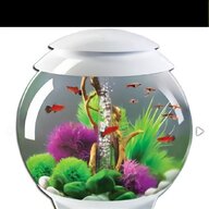 round aquarium for sale