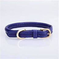 dog show collar for sale