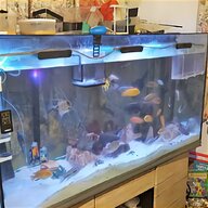 6ft aquarium for sale