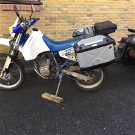 dr250 for sale