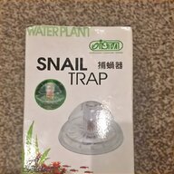 snail tank for sale
