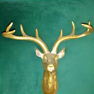 deer head for sale