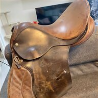 haflinger saddle for sale
