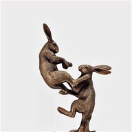 hares for sale