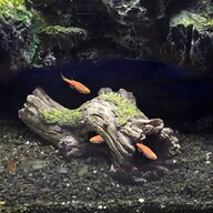 fish tank caves for sale