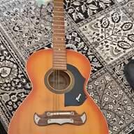 shergold guitar for sale