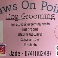 dog grooming van for sale