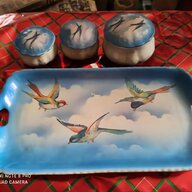 swallow bird for sale