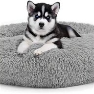 unique dog beds for sale