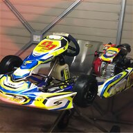 twin kart for sale