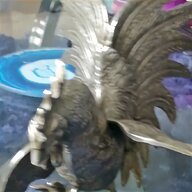 silver fighting cocks for sale