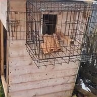 pigeon loft for sale