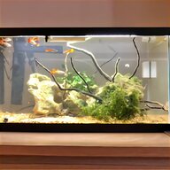 fish tank lights t5 for sale