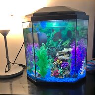swindon fish tank for sale