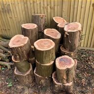 yew logs for sale
