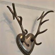 fallow deer antlers for sale