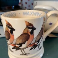 waxwing for sale for sale