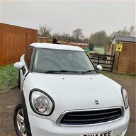 mini paceman for sale
