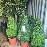 artificial topiary trees for sale