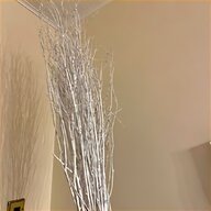 white willow tree for sale