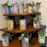 tin plant pots for sale