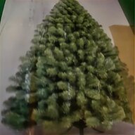 white pine tree for sale
