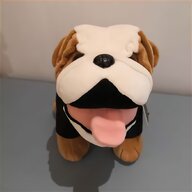 mini bulldog for sale