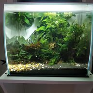 fish tank 40 litre for sale