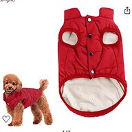 medium dog coats for sale