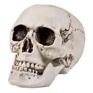 skeleton prop for sale