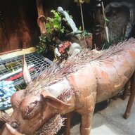 wild boar for sale
