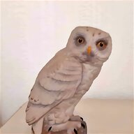 aynsley owl for sale