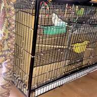 indoor ferret cages for sale