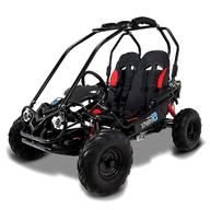petrol buggy for sale