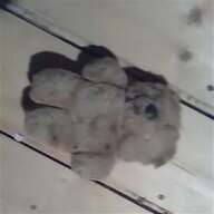 motor teddy bear for sale