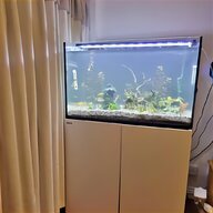 red sea max 250 for sale