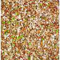 wild bird seed for sale