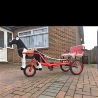 reliant trike for sale