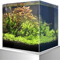 nano fish tanks for sale