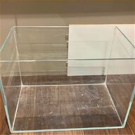 vivarium glass for sale