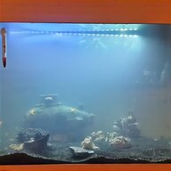 fish tank 110l for sale