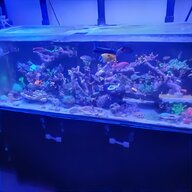 acrylic aquarium for sale