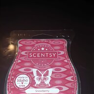 scentsy bar for sale