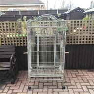 white parrot cage for sale