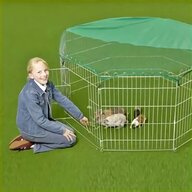 guinea pig outdoor runs for sale