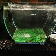 fish tank 110l for sale