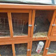4ft rabbit hutch for sale