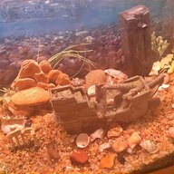 bow front aquarium fish tank for sale