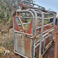 cattle scales for sale