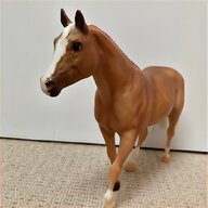appaloosa horses for sale